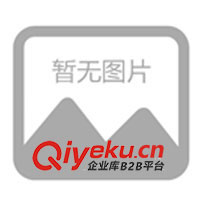 供應(yīng)廣告衫 反領(lǐng)T恤衫 背心 gd夾克 外貿(mào)風衣